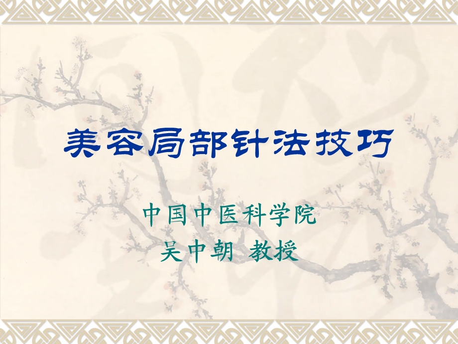 美容局部针法技巧.ppt_第1页