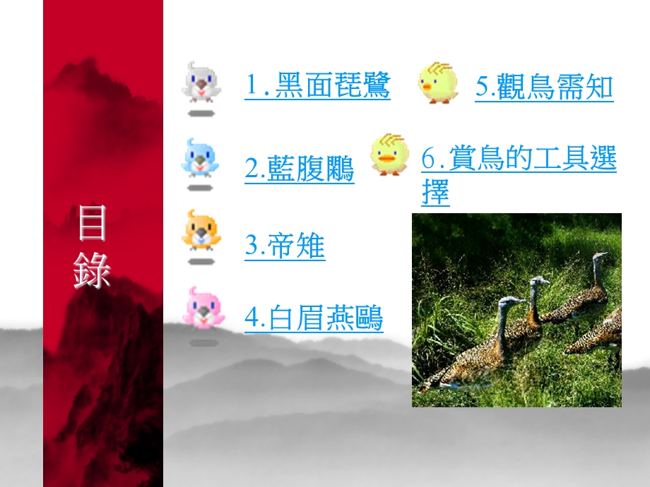 台湾濒临绝种鸟类.ppt_第2页