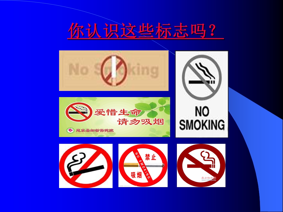 吸烟危害健康ppt.ppt_第2页