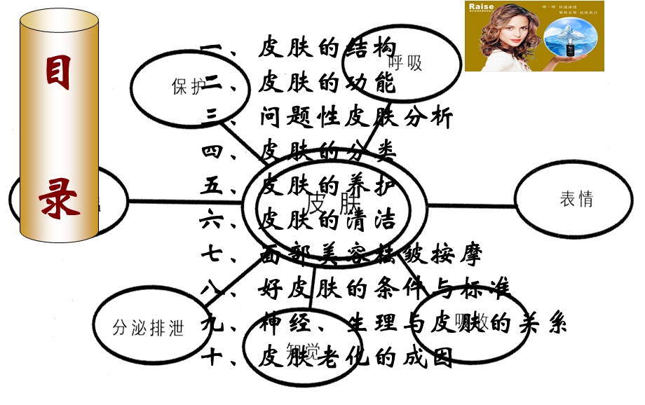 皮肤学基础知识(目前最清晰的版本).ppt_第2页