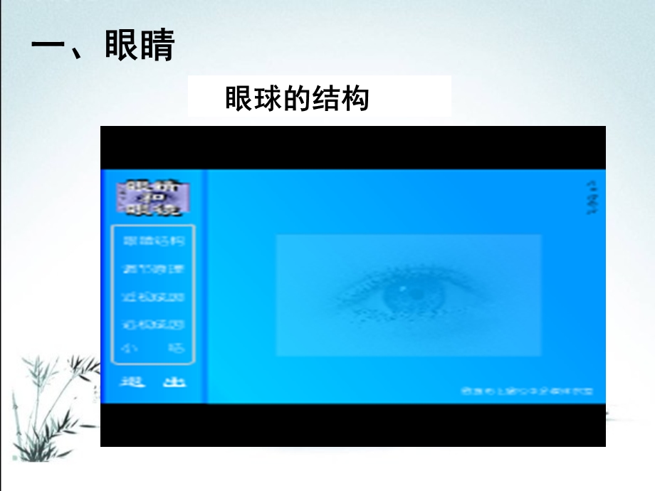 眼睛和眼镜PPT课件.ppt_第3页