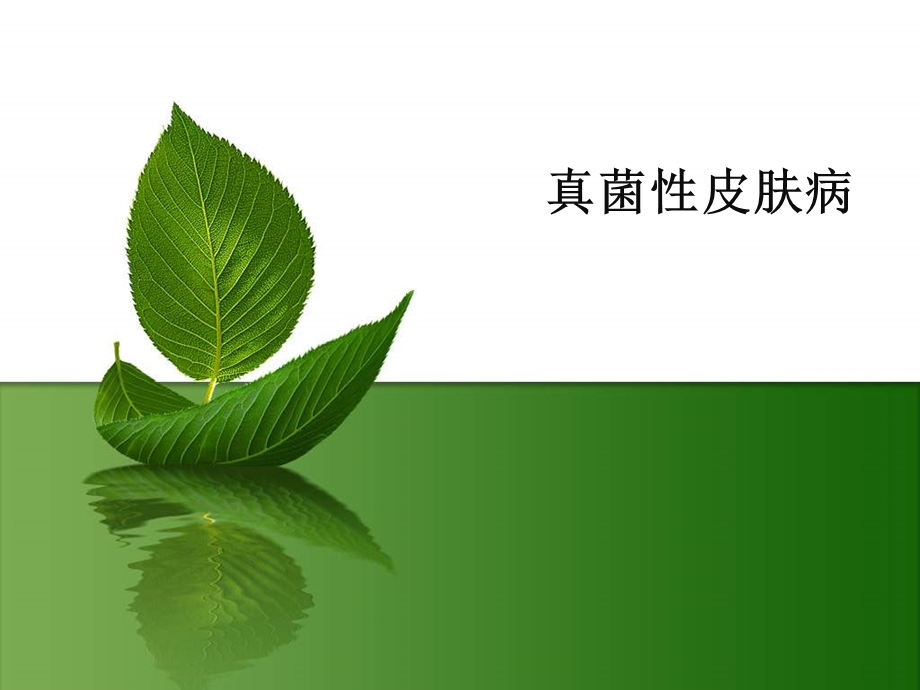 真菌性皮肤病(寻麻疹).ppt_第1页