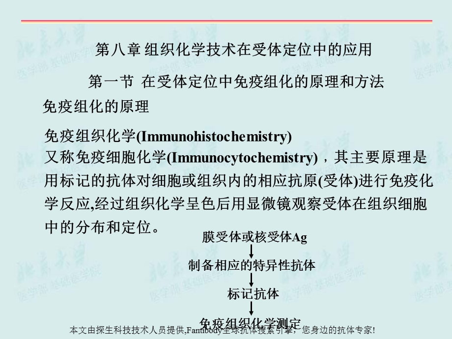 受体研究技术.ppt_第3页