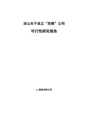 凉山关于成立“双碳”公司研究报告.docx