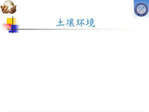 土壤中主要污染物及其迁移转化.ppt