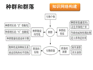 种群和群落(高二下第二次月考前复习必修3456三章).ppt