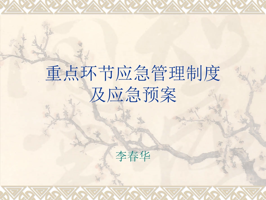 重点环节应急管理.ppt_第1页