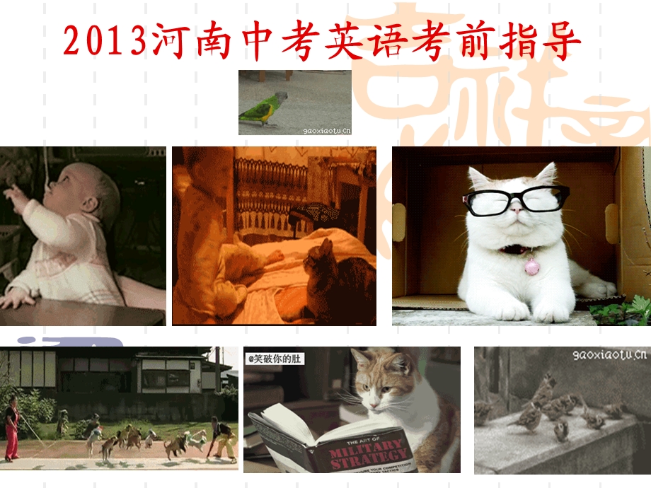 2013中考英语考前指导.ppt_第1页