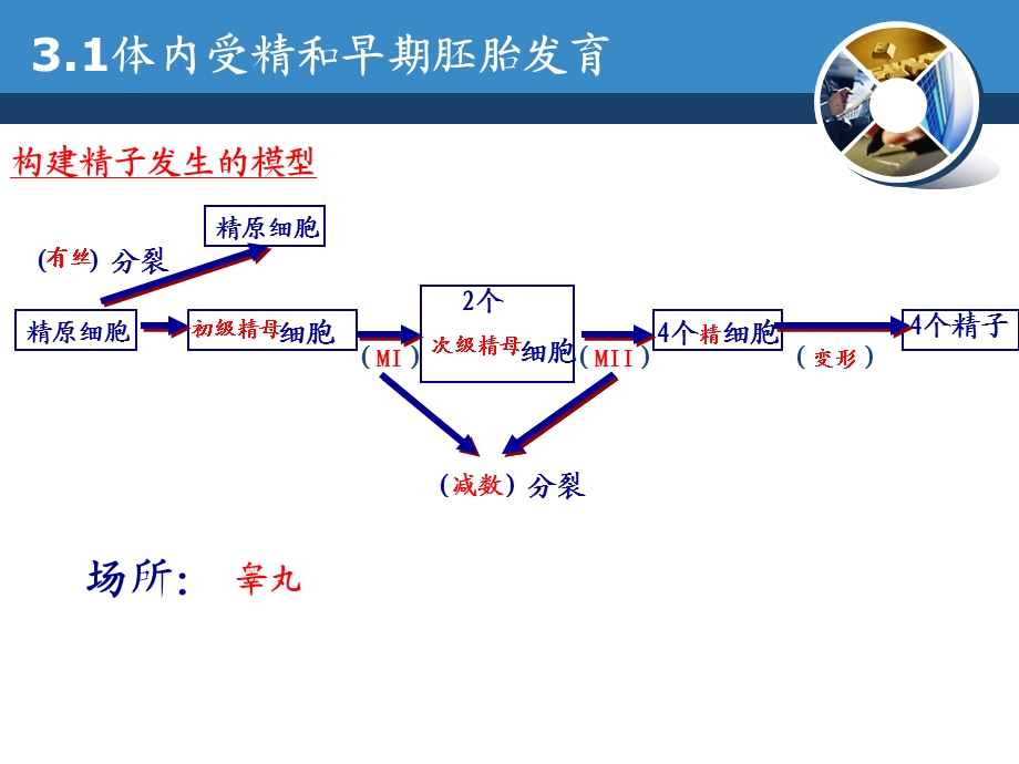 授课人侯艳洁.ppt_第3页