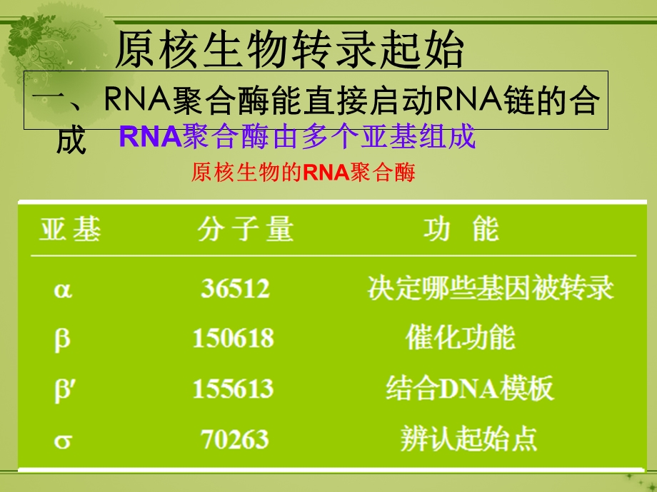 原核生物与真核生物转录起始调控的差异.ppt_第2页