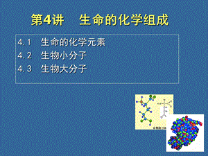 生命的化学组成.ppt