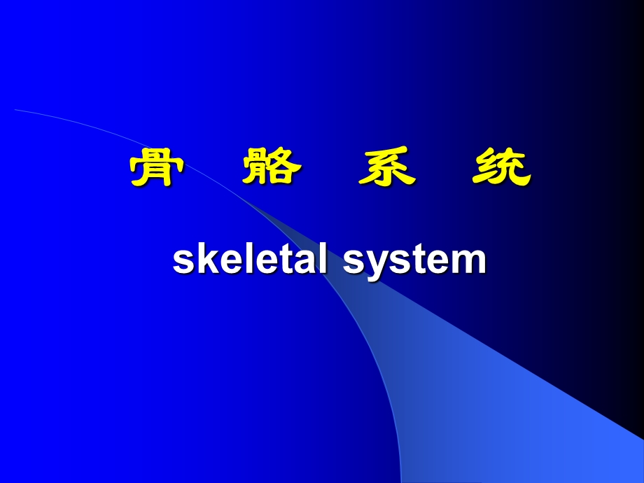 骨骼系统版 ppt课件.ppt_第1页