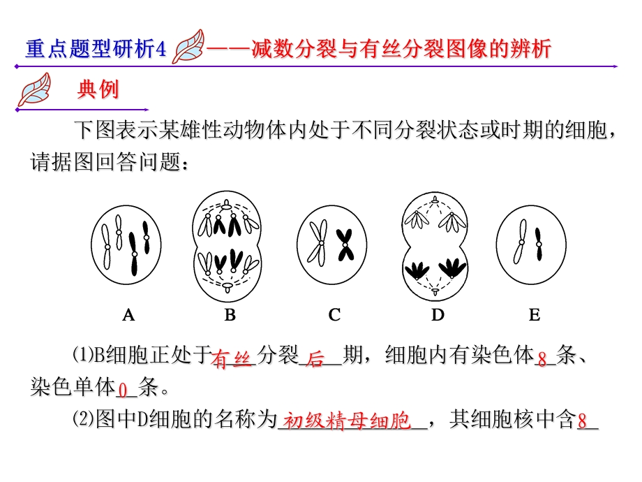 2013届高三生物一轮专项课件：第4单元考能专项突破.ppt_第2页