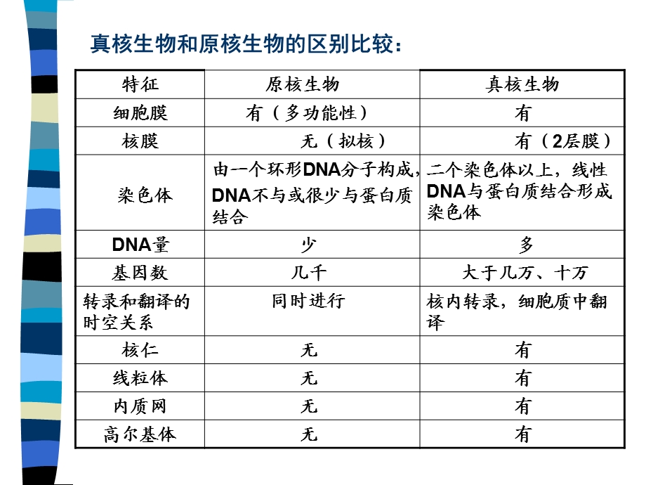 真核生物和原核生物的区别比较.ppt_第1页