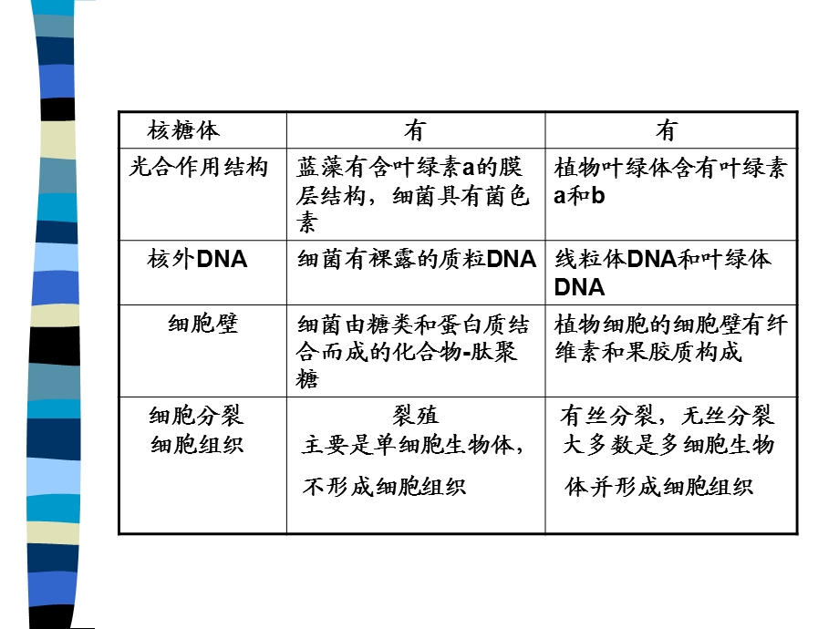 真核生物和原核生物的区别比较.ppt_第2页