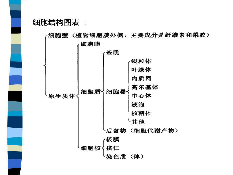 真核生物和原核生物的区别比较.ppt_第3页