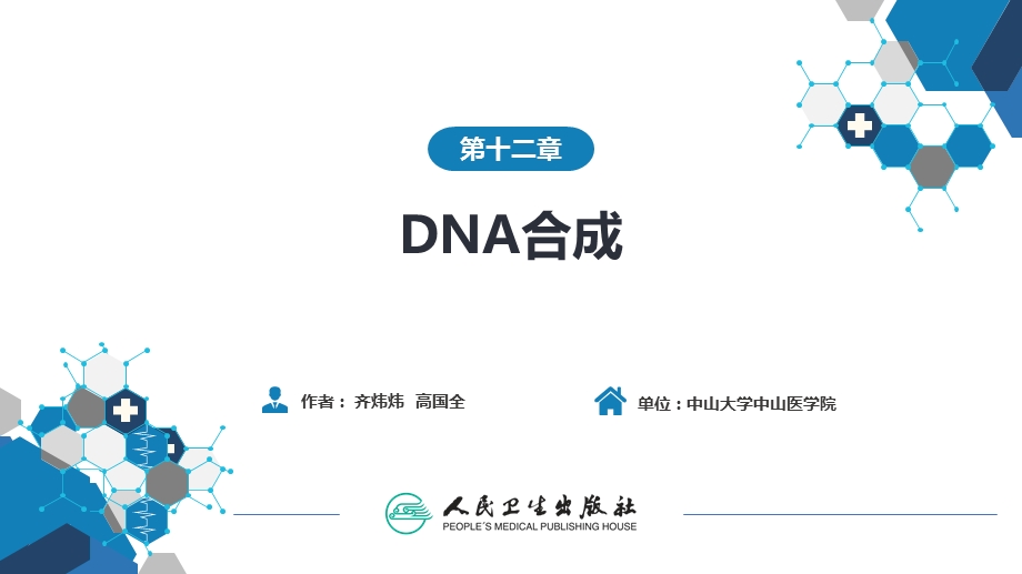 生物化学及分子生物学(人卫第九版)-12DNA合成.ppt_第1页