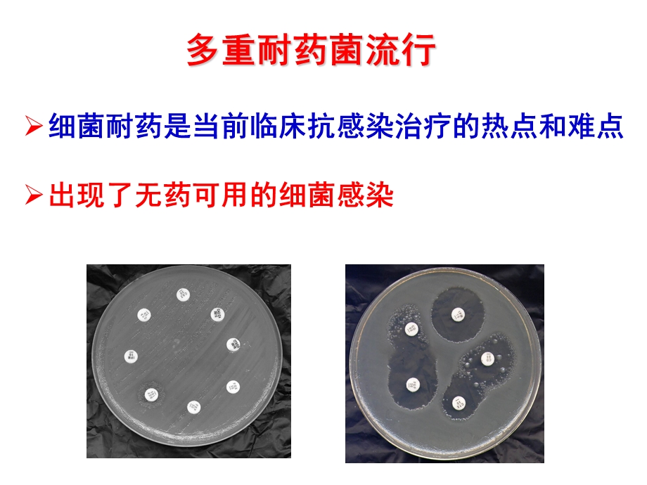 碳青霉烯暴露后的抗生素选择策略.ppt_第3页