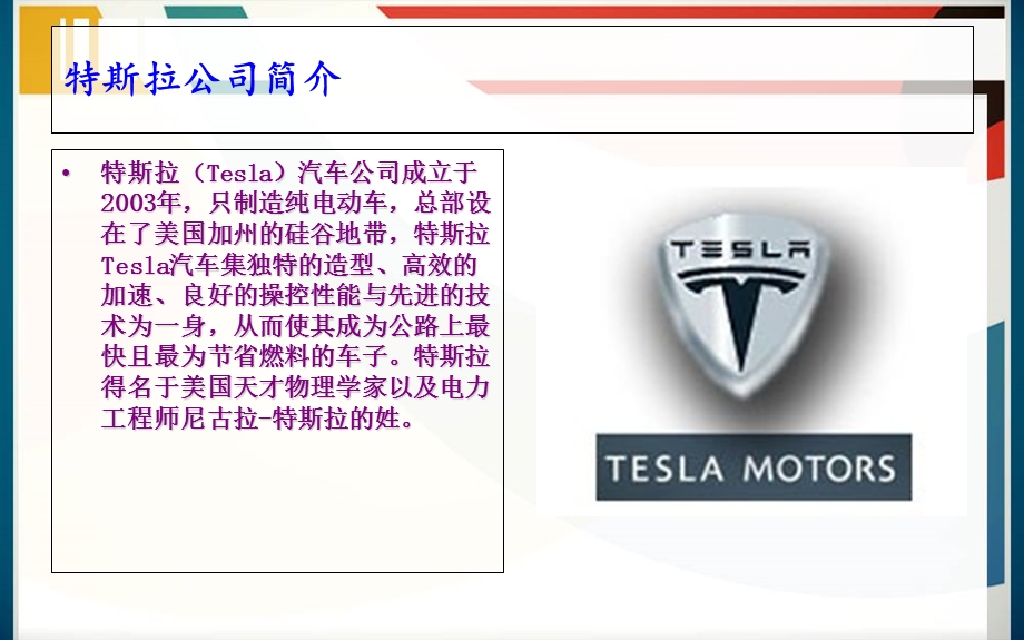特斯拉公关案例.ppt_第2页