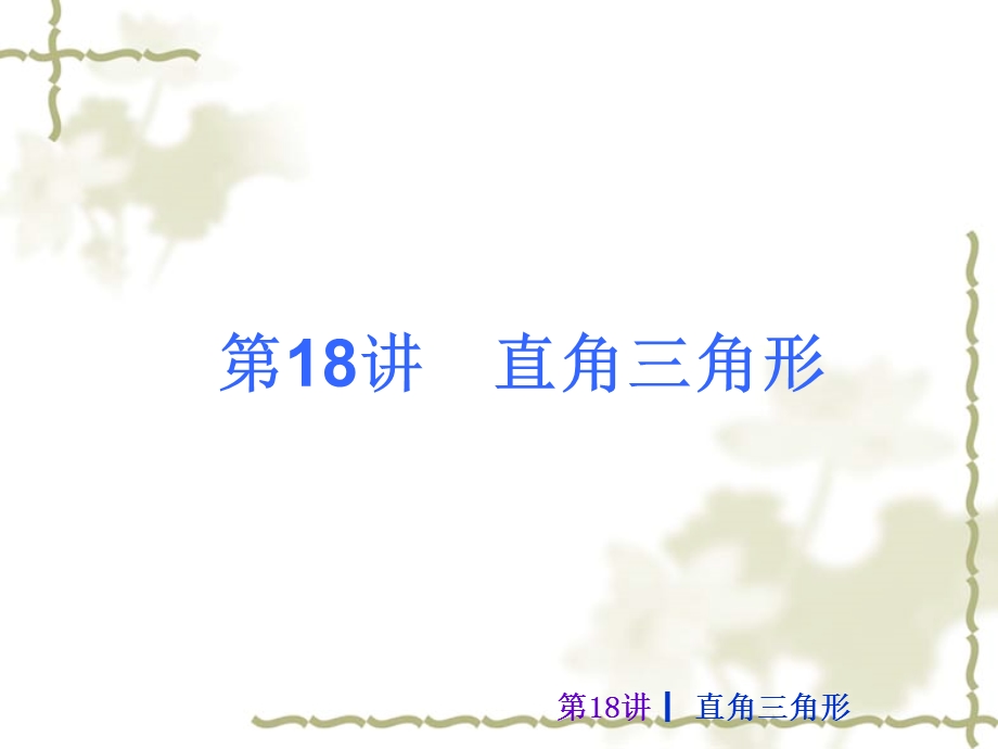 2013中考数学复习第四单元三角形(共56张PPT).ppt_第2页