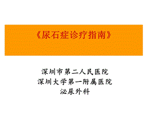 尿石症诊疗指南.ppt