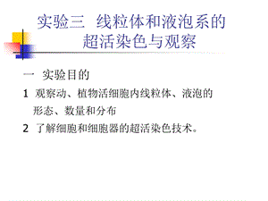 实验三线粒体和液泡系的.ppt