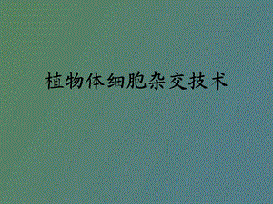 植物体细胞杂交.ppt