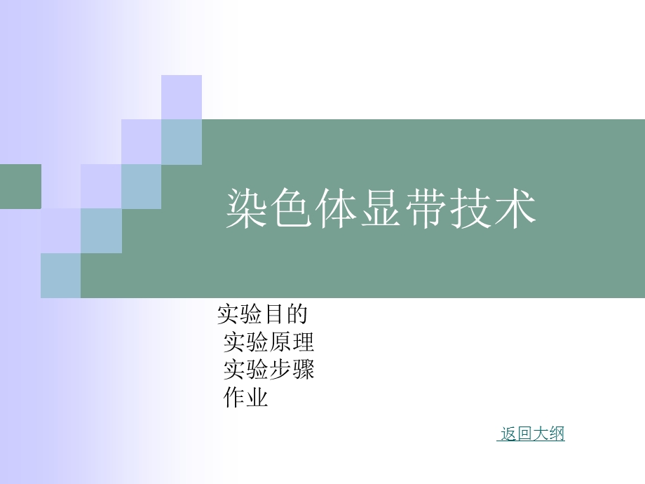 染色体显带技术.ppt_第1页