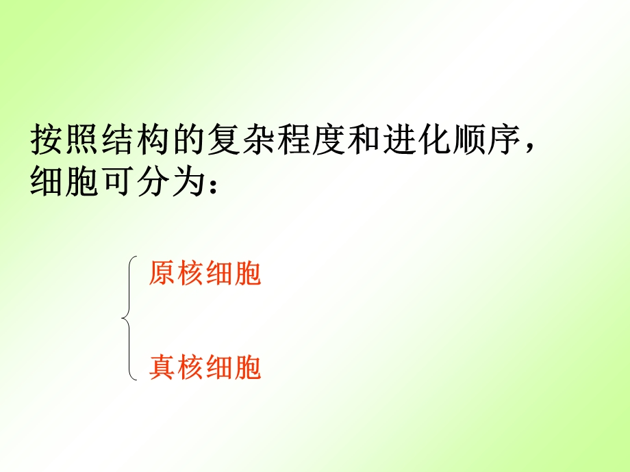 细胞的类型与结构.ppt_第3页