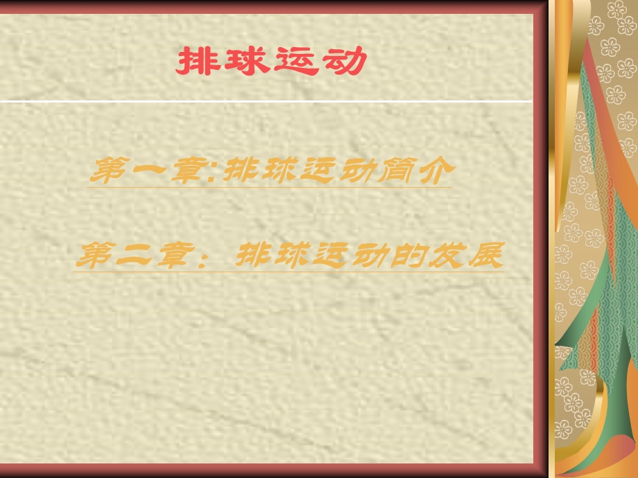 运动排球发展概述.ppt_第2页