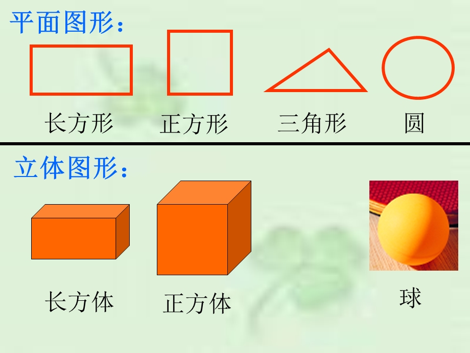 苏教版六年级数学下册圆柱和圆锥的认识1.ppt_第1页