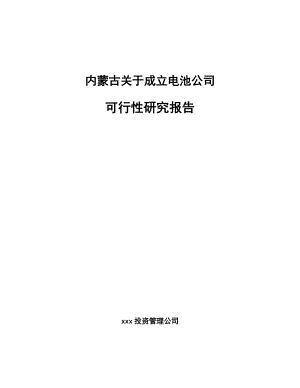 内蒙古关于成立电池公司可行性研究报告.docx