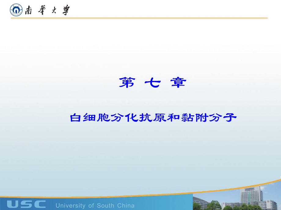 医学免疫学-白细胞分化抗原和黏附分子.ppt_第1页