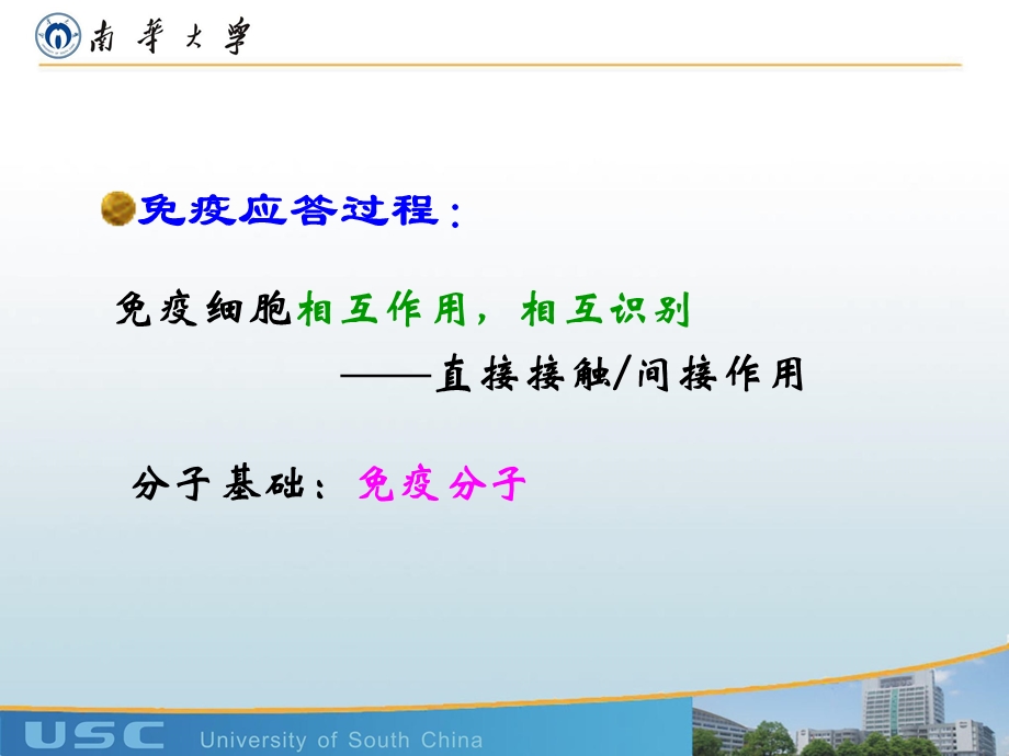 医学免疫学-白细胞分化抗原和黏附分子.ppt_第2页