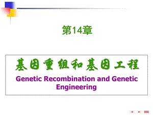 基因重组和基因工程.ppt