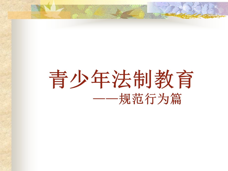 小学生中国法制教育PPT.ppt_第1页