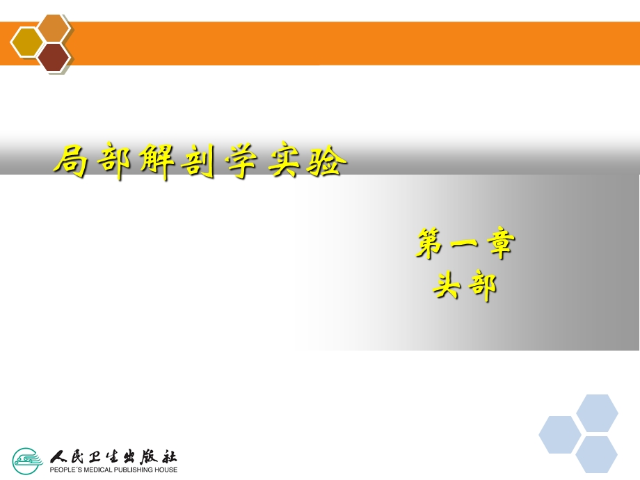 局部解剖学填图题.ppt_第2页