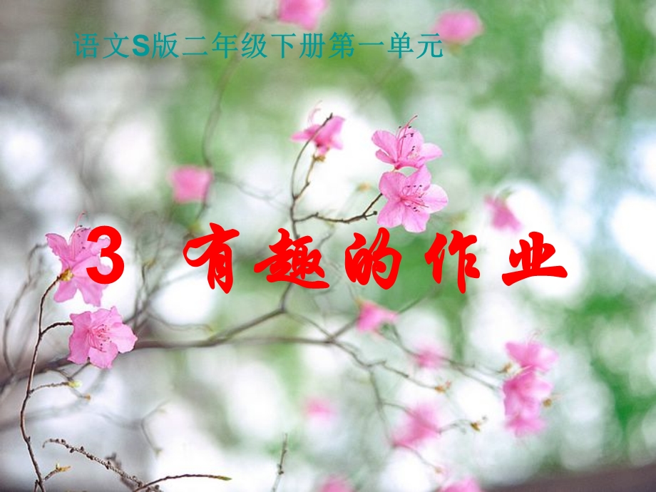 有趣的作业汇总.ppt_第1页