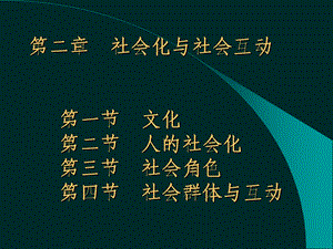 社会化与社会互动.ppt