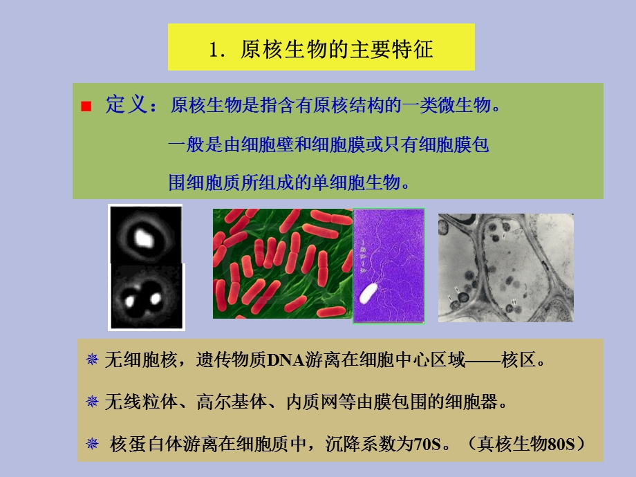 植物病原原核生物.ppt_第3页