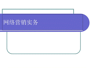 网络营销实务(附实训项目).ppt