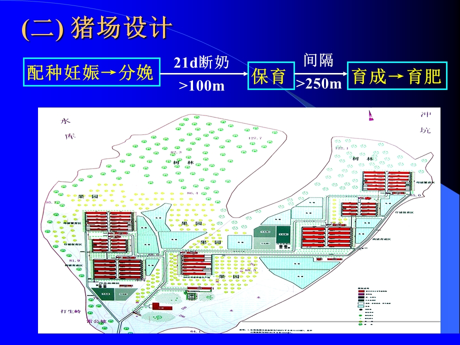 100头母猪场计划.ppt_第3页