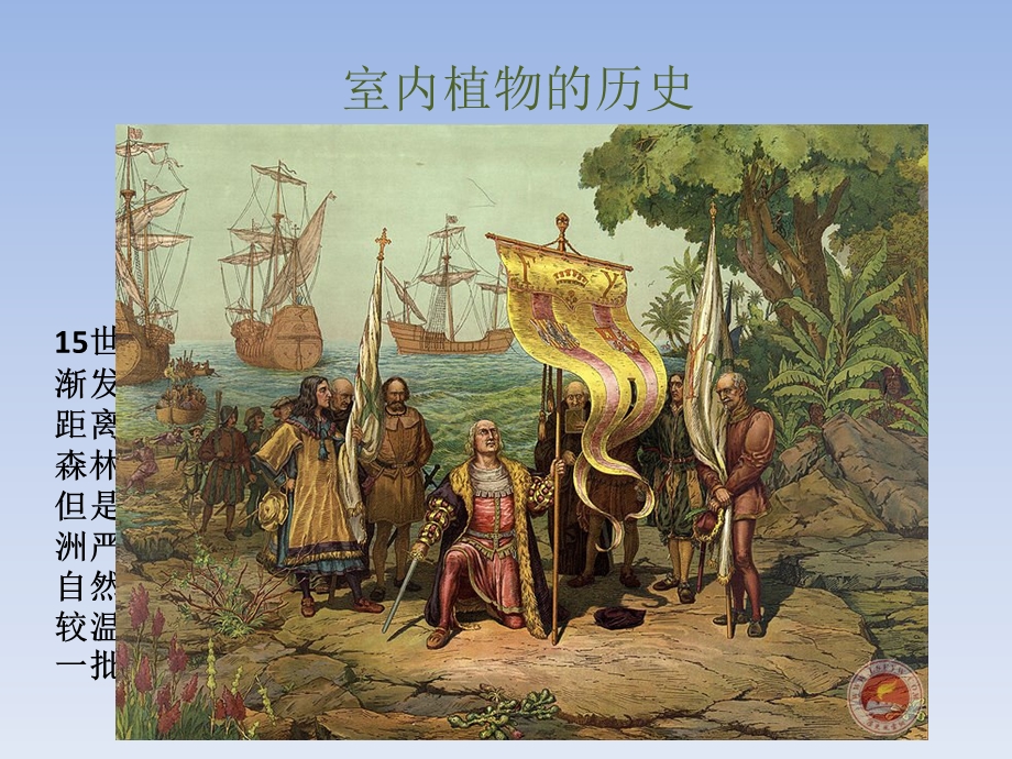 植物与人类生活.ppt_第3页