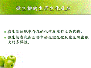 微生物的生理生化反应.ppt