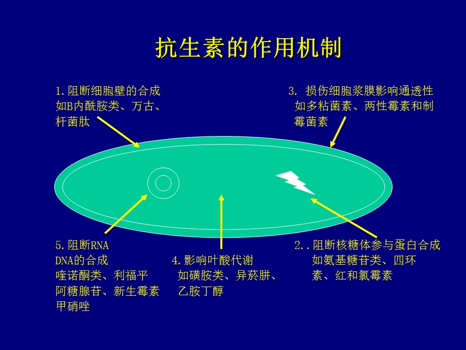 抗生素分类及合理应用.ppt_第2页