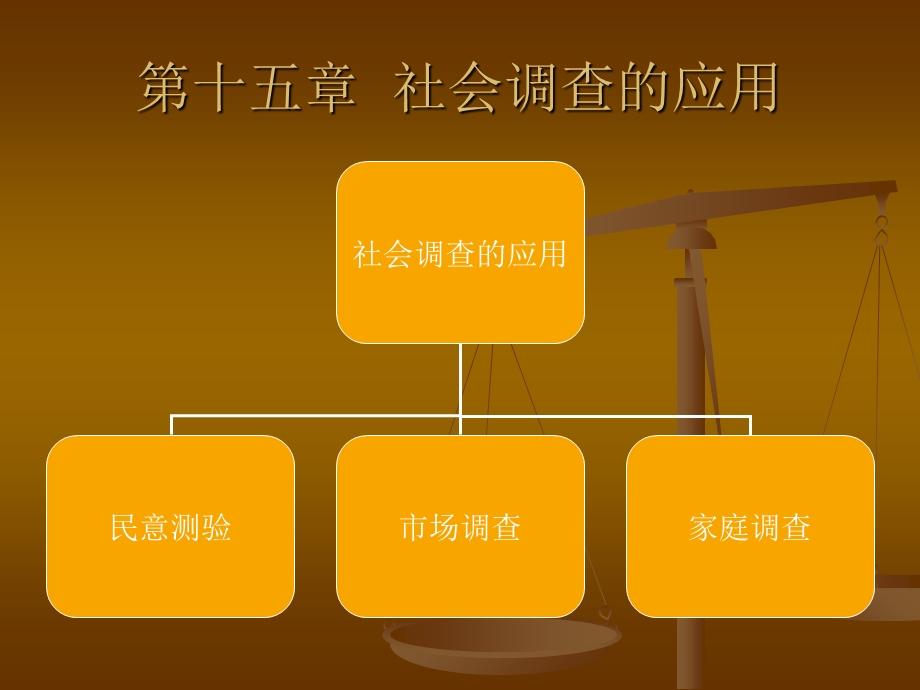 社会调查的应用.ppt_第1页