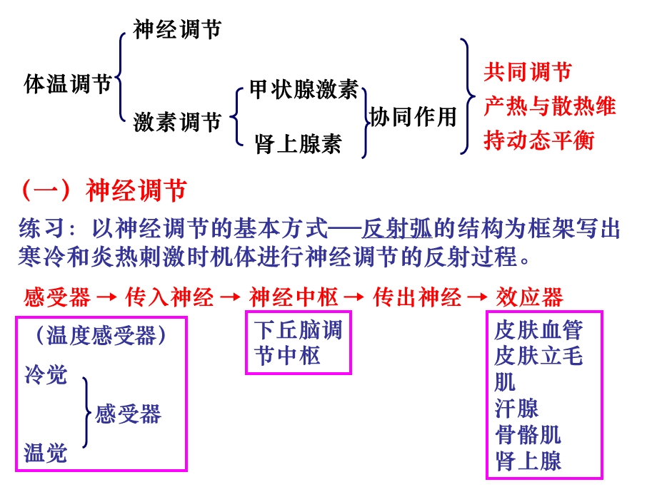 神经调节与体液调节的关系(复习).ppt_第3页