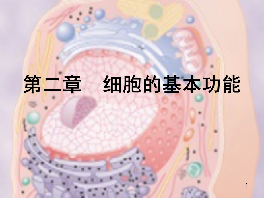 生理学课件细胞的基本功能临床医学本科人卫第八版.ppt_第1页