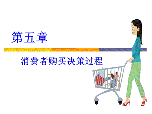 消费者决策过程.ppt