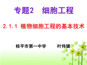 植物细胞工程的基本技术(叶伟健).ppt